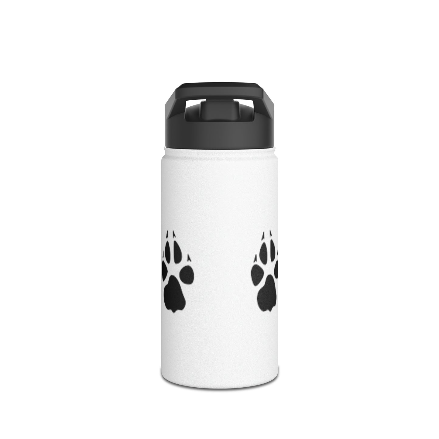 Stainless Steel Water Bottle, Standard Lid