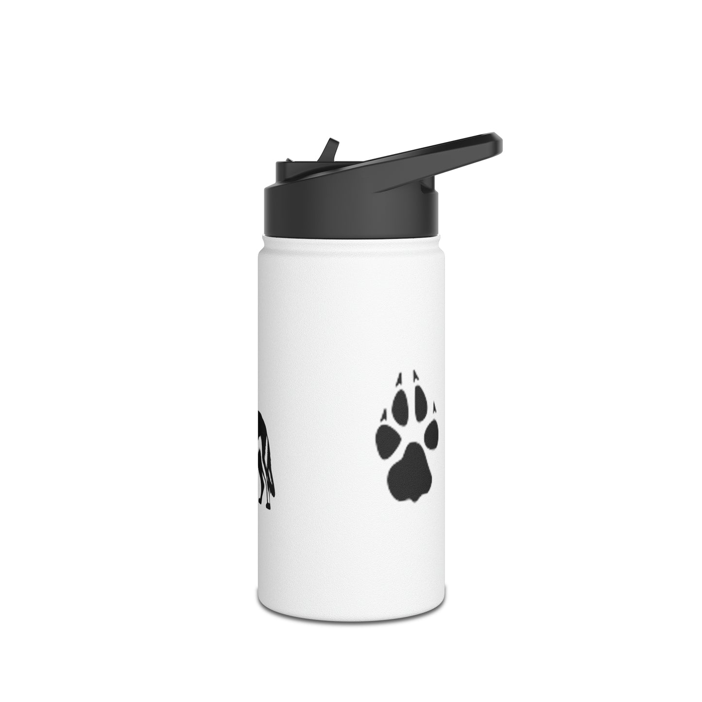 Stainless Steel Water Bottle, Standard Lid