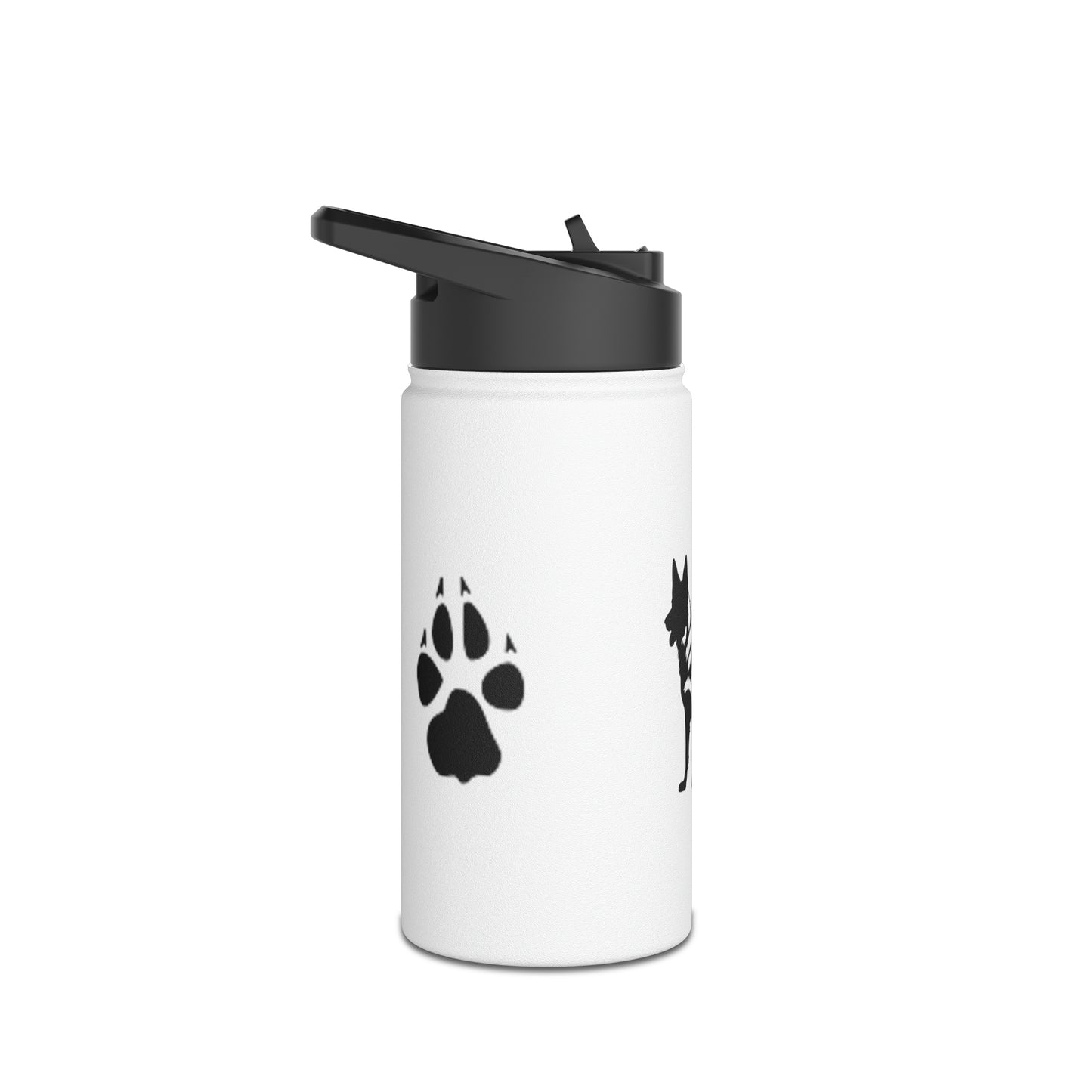 Stainless Steel Water Bottle, Standard Lid